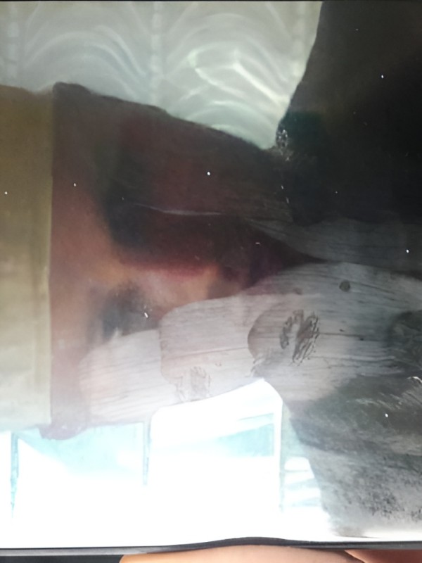 Тамара привлекательная девушка из Оха цена от 2000 руб